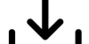 T (1)
